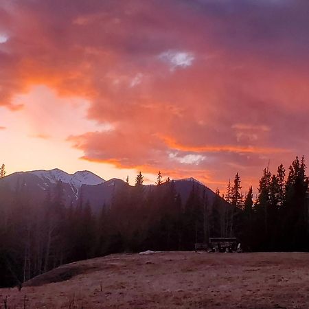 Rocky Mountain Escape Dome & Log Cabin Rentals - Rock Lake Rock Lake Lodge Provincial Park Zewnętrze zdjęcie