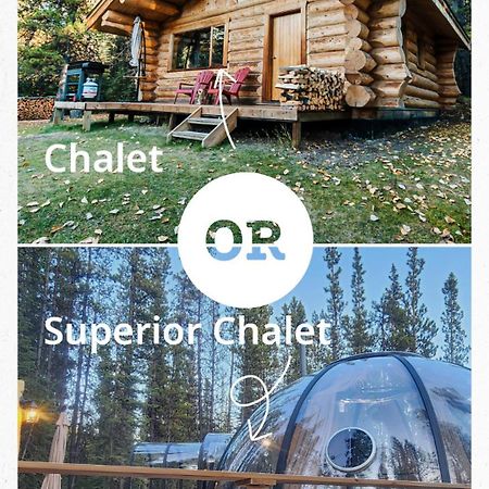 Rocky Mountain Escape Dome & Log Cabin Rentals - Rock Lake Rock Lake Lodge Provincial Park Zewnętrze zdjęcie