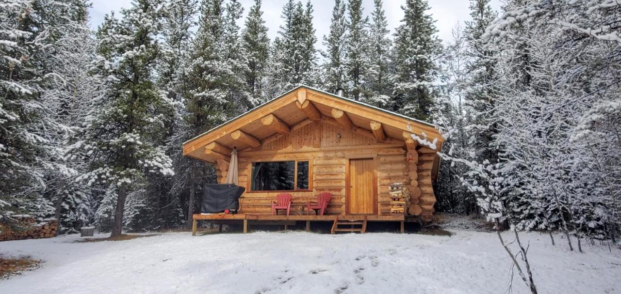 Rocky Mountain Escape Dome & Log Cabin Rentals - Rock Lake Rock Lake Lodge Provincial Park Zewnętrze zdjęcie