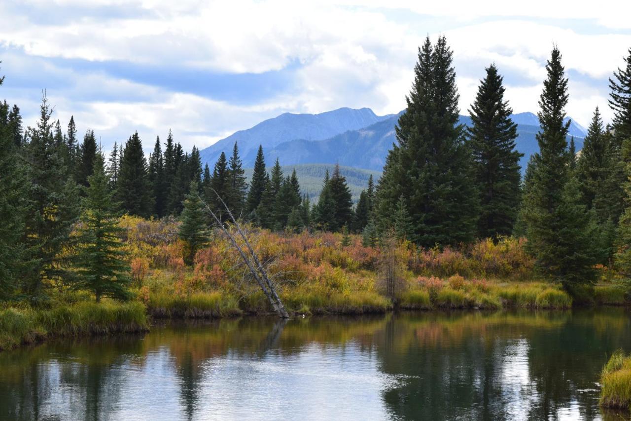 Rocky Mountain Escape Dome & Log Cabin Rentals - Rock Lake Rock Lake Lodge Provincial Park Zewnętrze zdjęcie